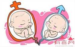 北京供卵一次多少钱，北京试管婴儿费用大约多少钱